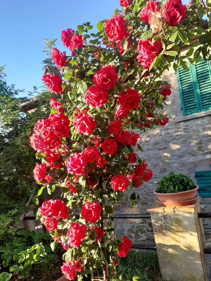Sunset Valley - A Tuscan Experience ชิวิเตลลาอินวัลดิเคียนา ภายนอก รูปภาพ
